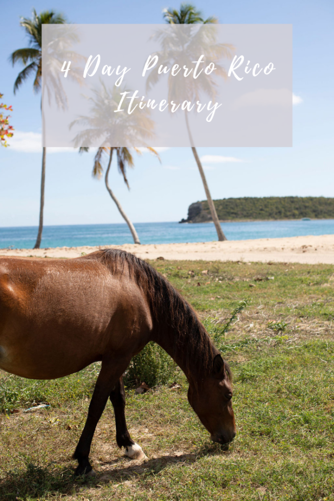 Traveling to Puerto Rico: Documentation Requirements for Non-U.S. Citizens