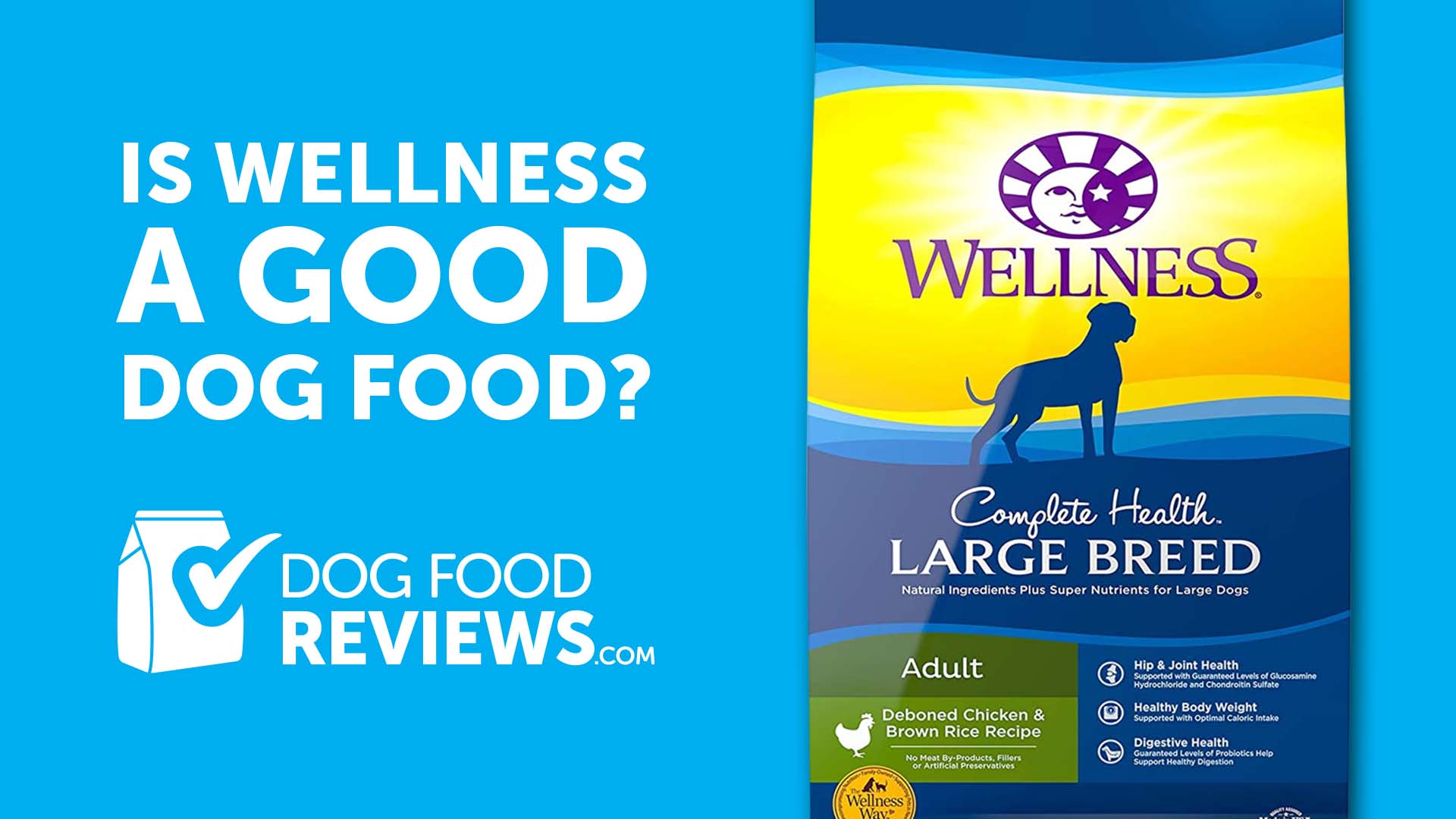 Wellness Dog Food: A Comprehensive Analysis of Quality and Nutrition