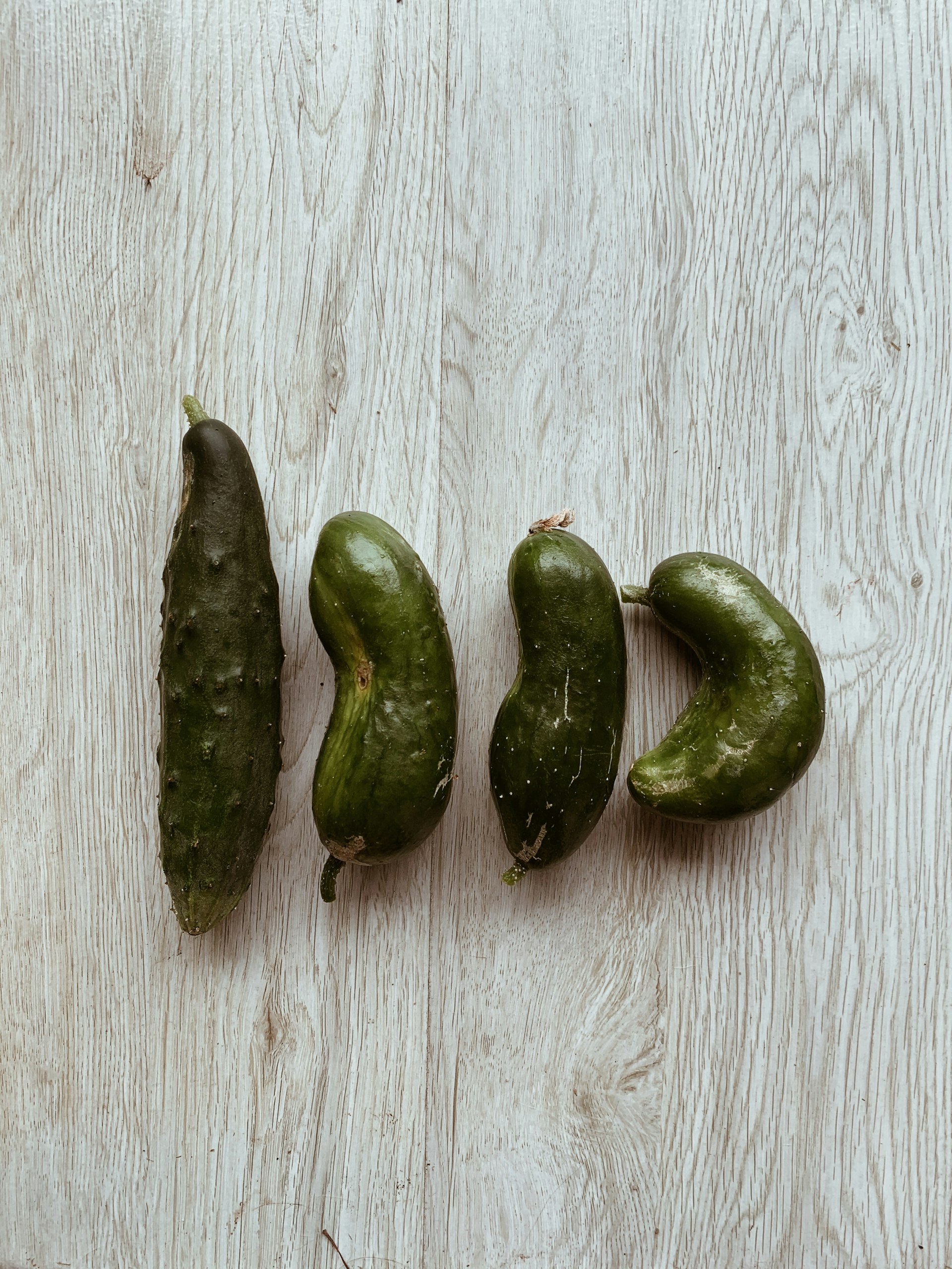 Mastering Pickling and Preserving: Your Guide to Successful DIY Food Storage at Home