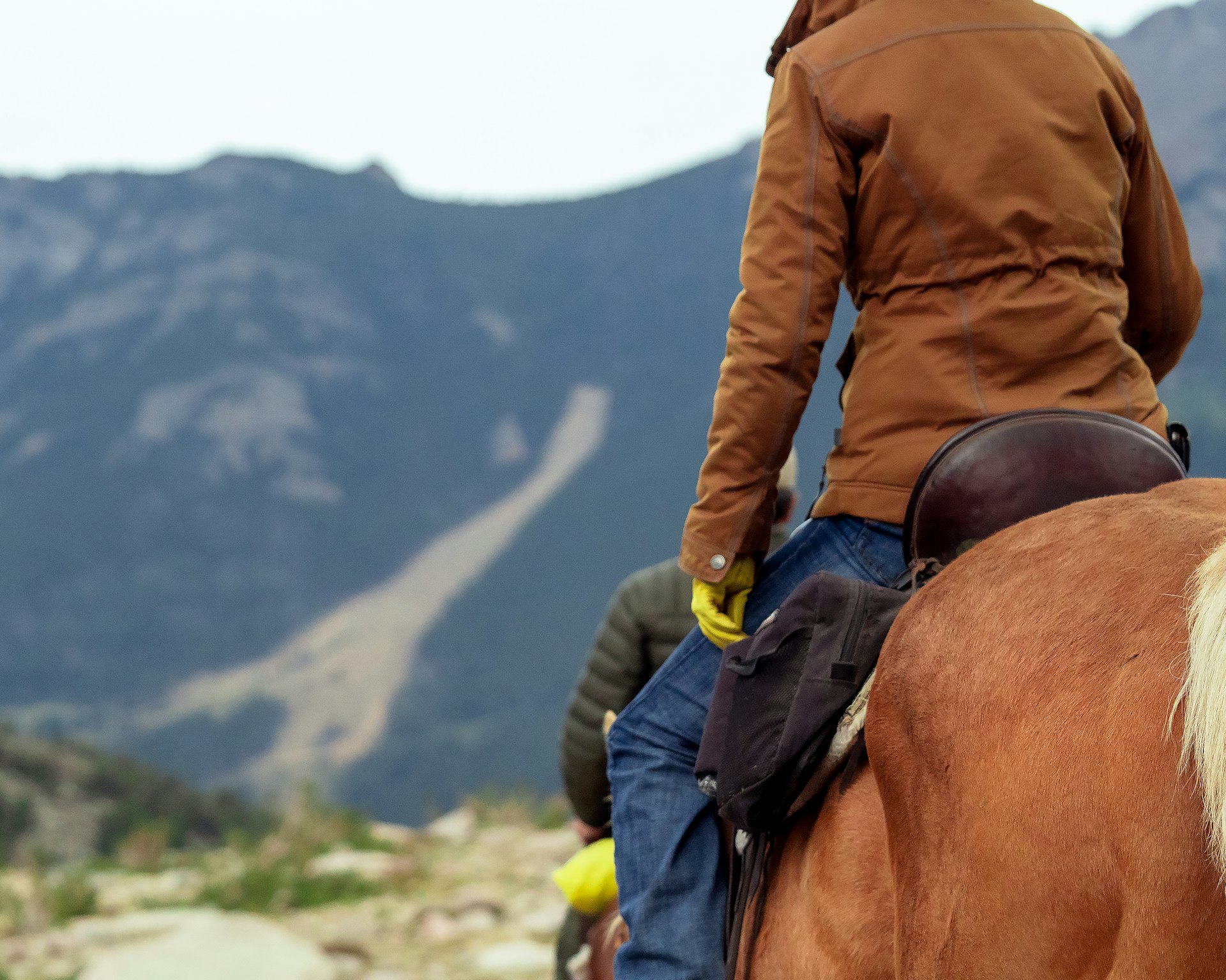 Unlocking Wellness: The Therapeutic Benefits of Horseback Riding