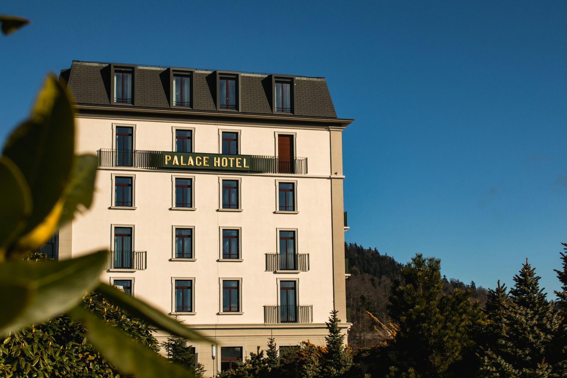 Why Green Certifications Matter for Hotels: Boosting Sustainability, Profitability, and Guest Appeal